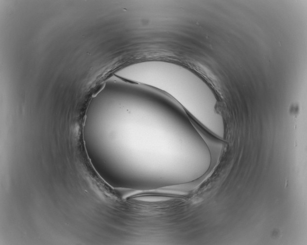 X0000093720405200710231136