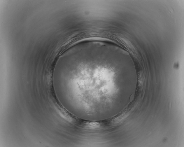 X0000093720409200710231136