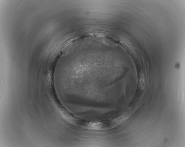 X0000093720410200710231136