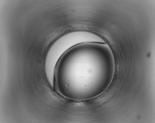 X0000093720411200710231136