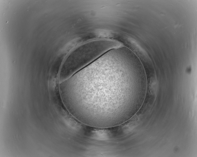 X0000093720417200710231136