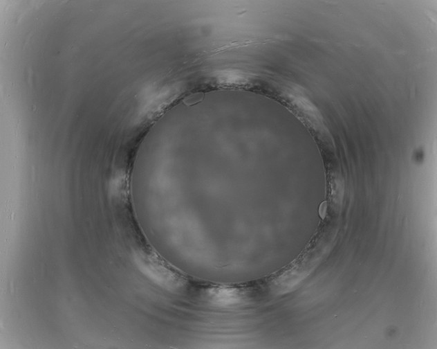 X0000093720419200710231135