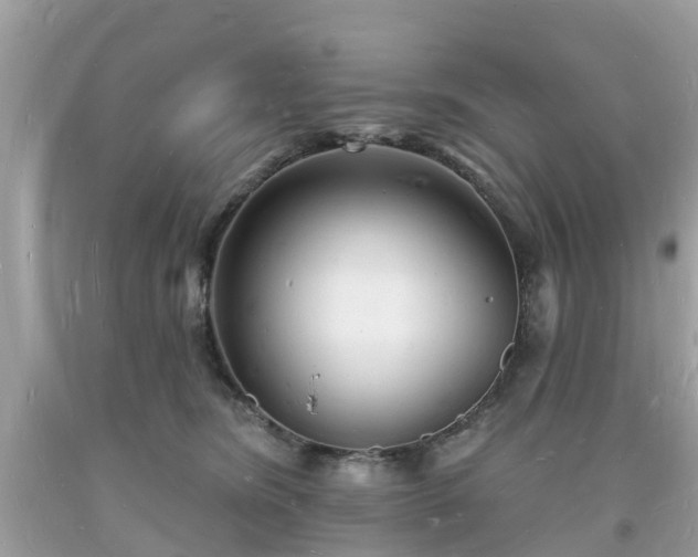 X0000093720420200710231135