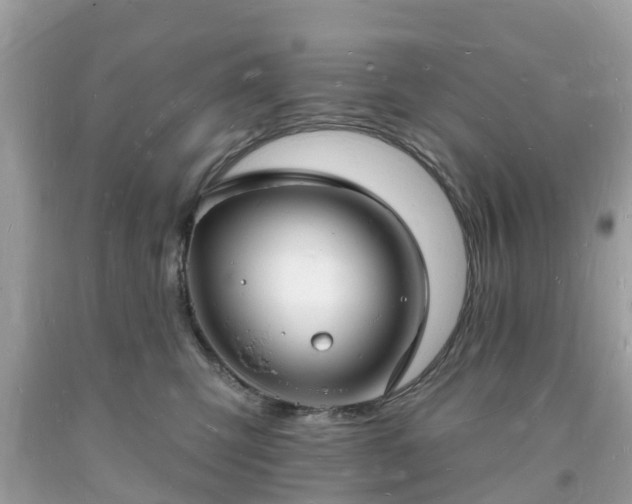 X0000093720423200710231135