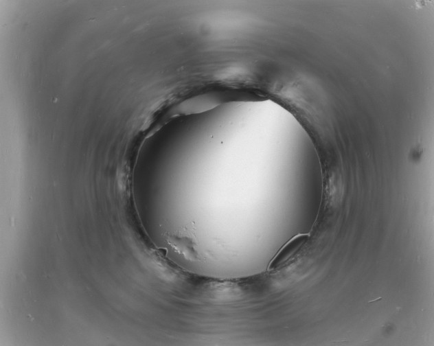 X0000093720424200710231135