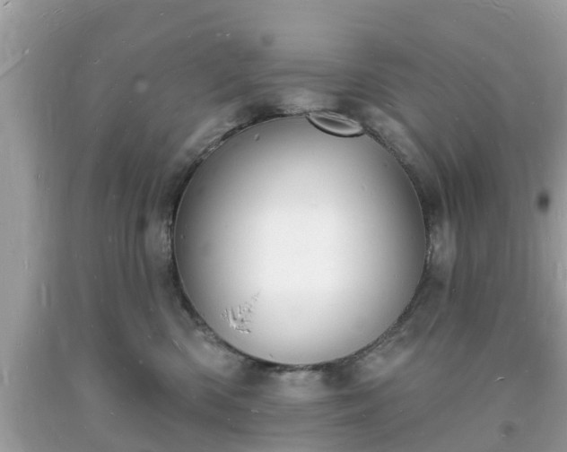 X0000093720426200710231135