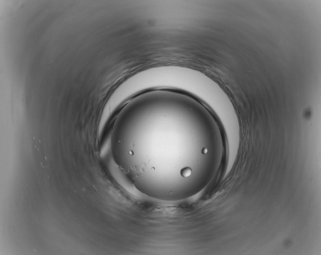 X0000093720428200710231135