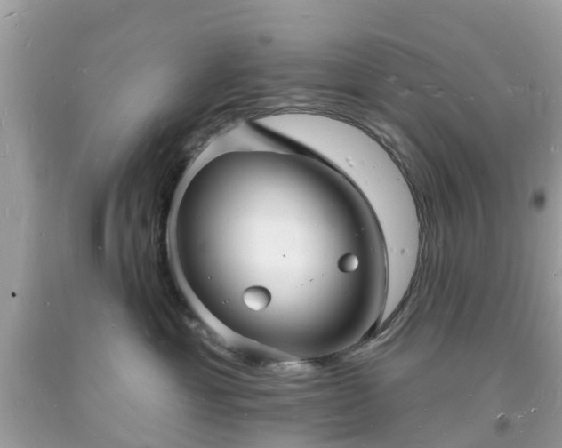X0000093720429200710231135