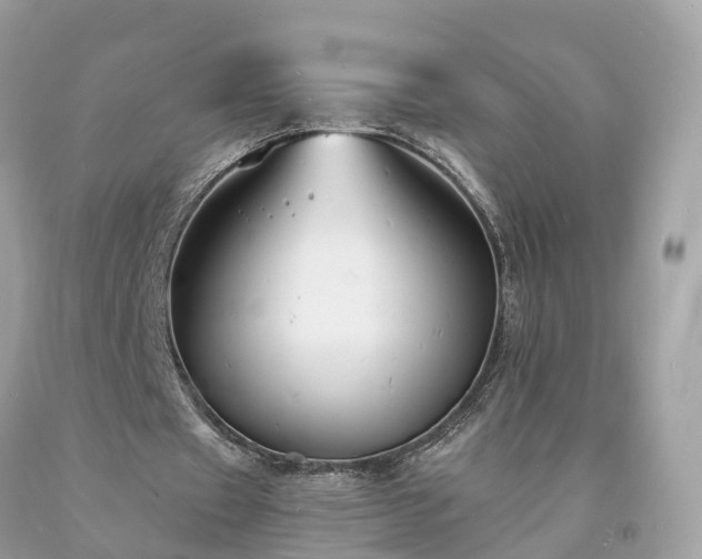 X0000093720433200710231135