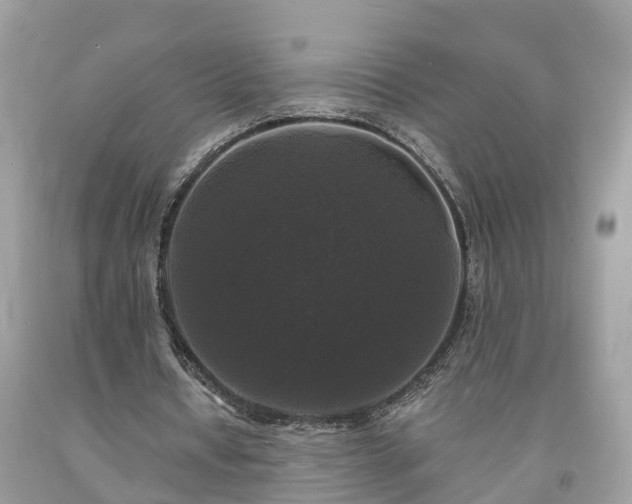 X0000093720434200710231135