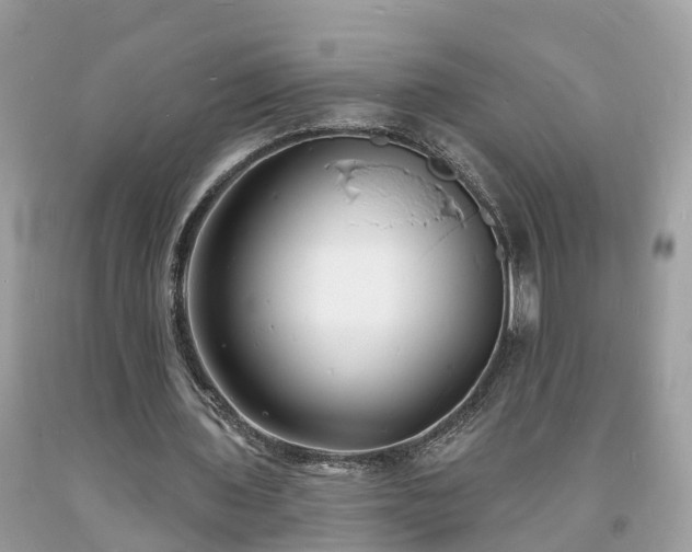 X0000093720435200710231135