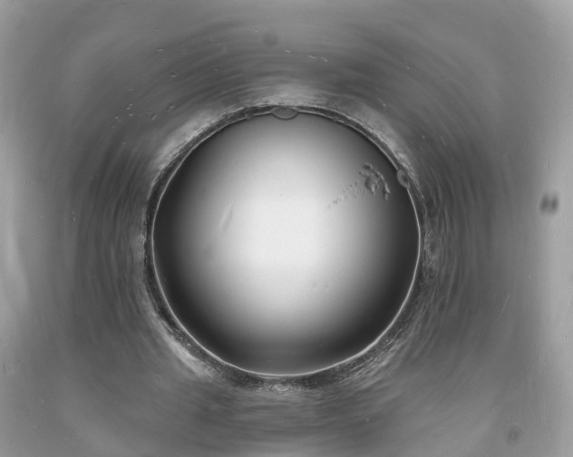 X0000093720437200710231135