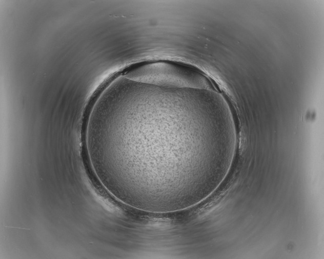 X0000093720438200710231135