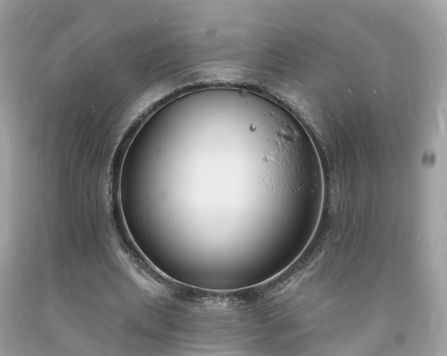 X0000093720439200710231135