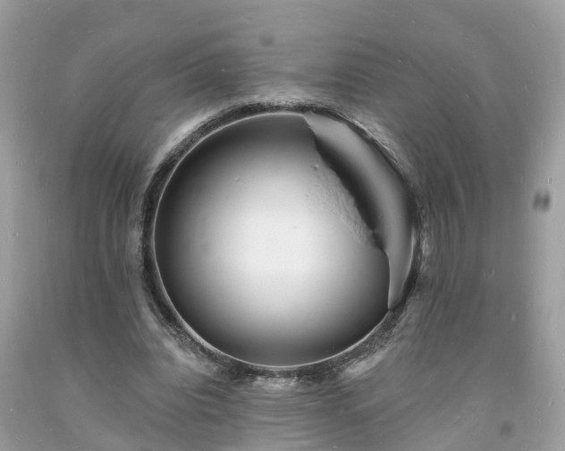 X0000093720440200710231135