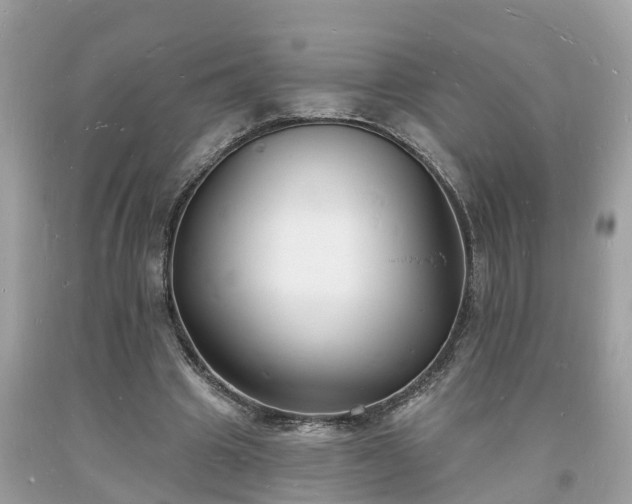 X0000093720441200710231135