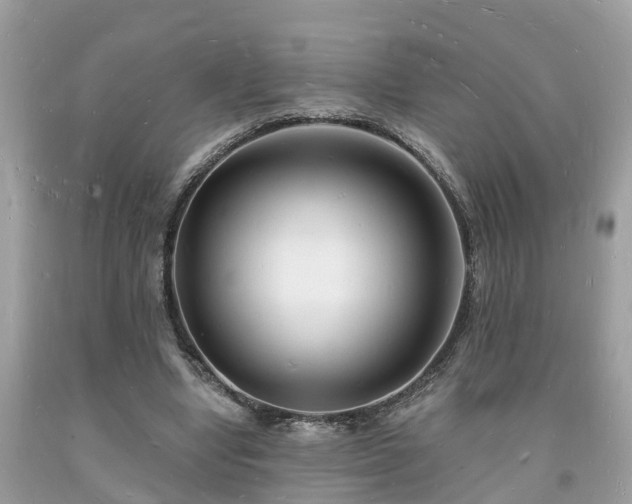 X0000093720442200710231135