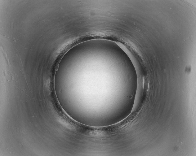X0000093720444200710231135