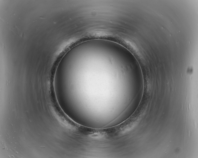 X0000093720447200710231135