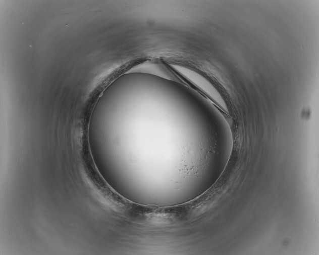 X0000093720448200710231135