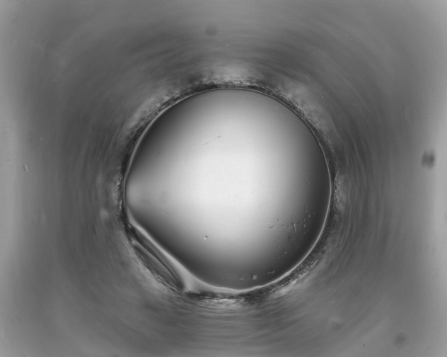 X0000093720449200710231135