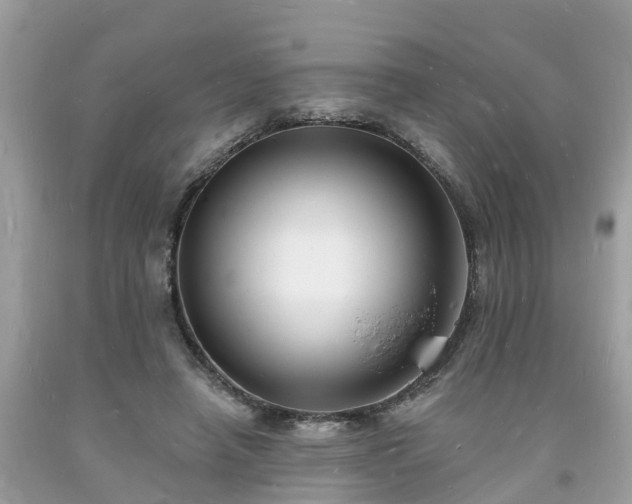 X0000093720450200710231135