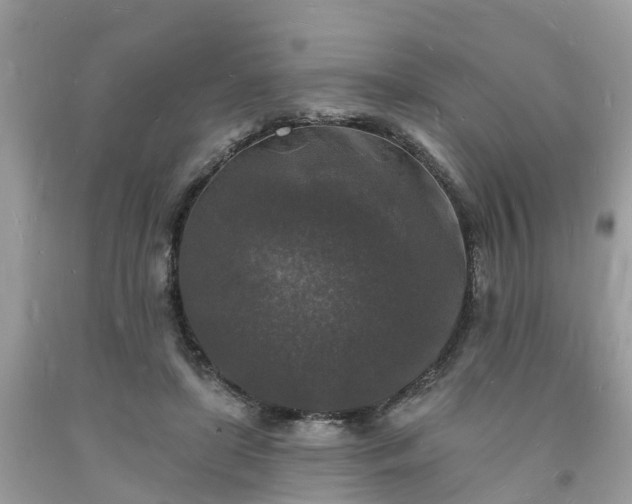 X0000093720451200710231135