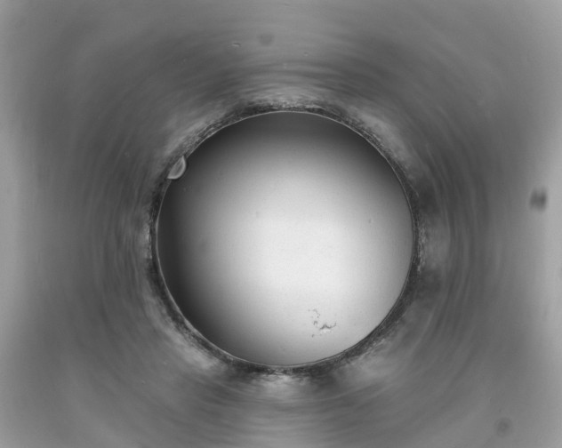 X0000093720453200710231135