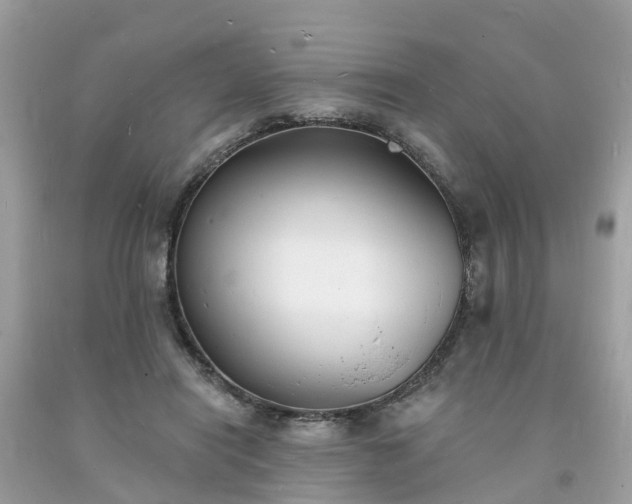 X0000093720454200710231135