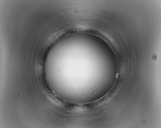 X0000093720455200710231135