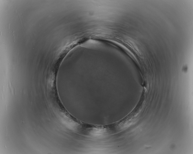 X0000093720458200710231135