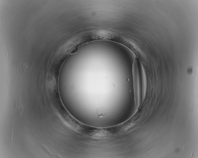 X0000093720459200710231135