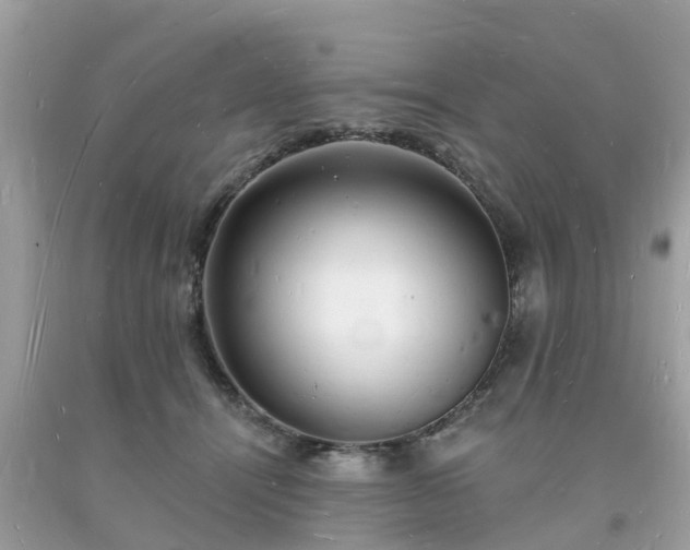 X0000093720464200710231135