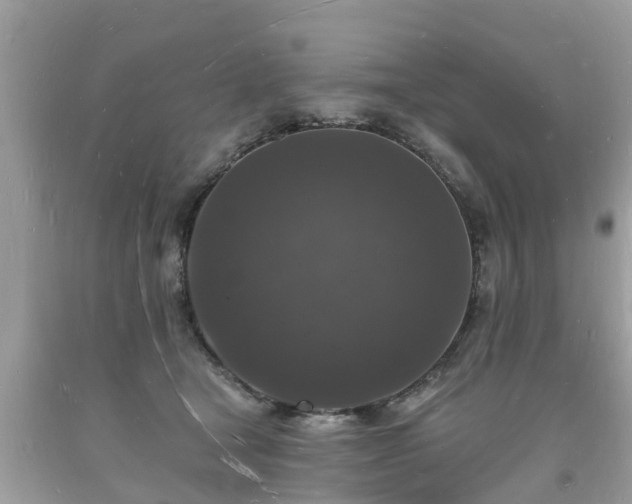 X0000093720465200710231135