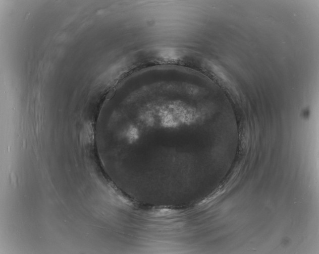 X0000093720467200710231135