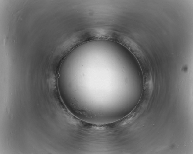 X0000093720469200710231135