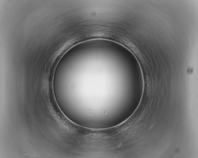 X0000093720482200710231135