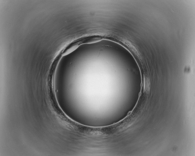 X0000093720483200710231135