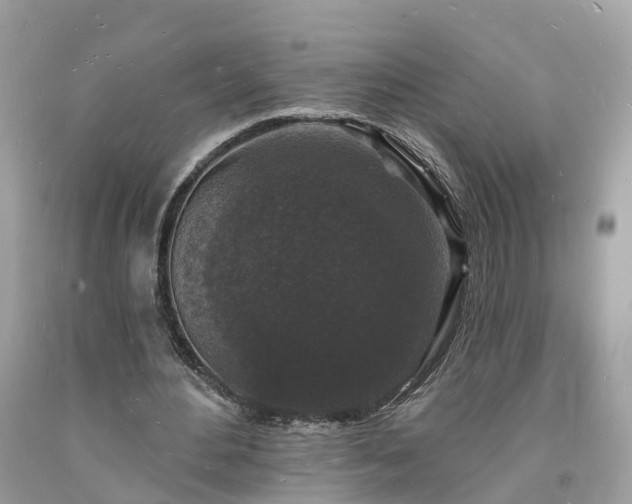 X0000093720484200710231135