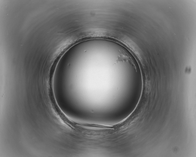 X0000093720485200710231135