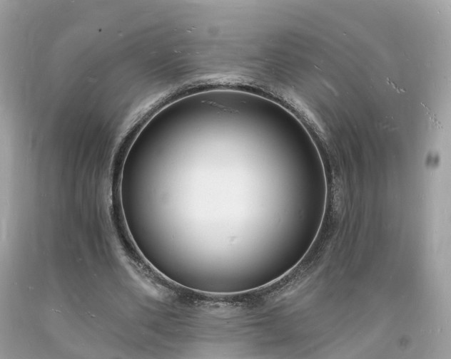 X0000093720486200710231135
