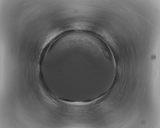 X0000093720488200710231135