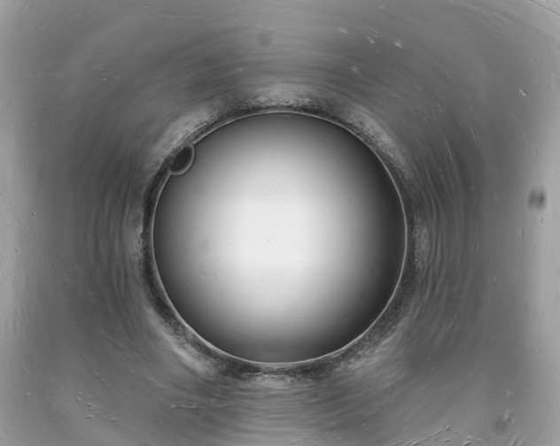 X0000093720490200710231135