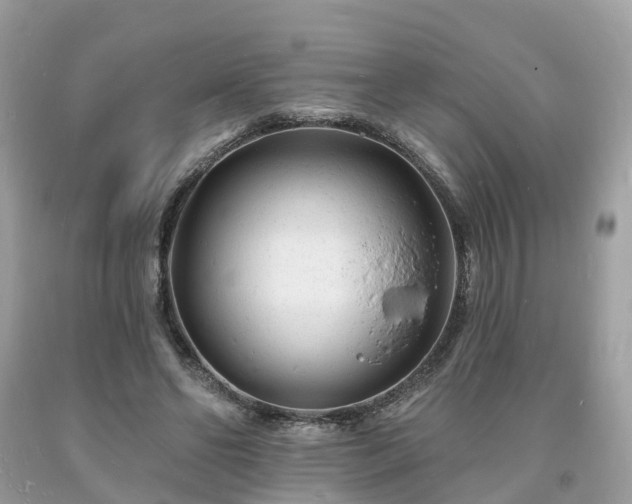 X0000093720494200710231135