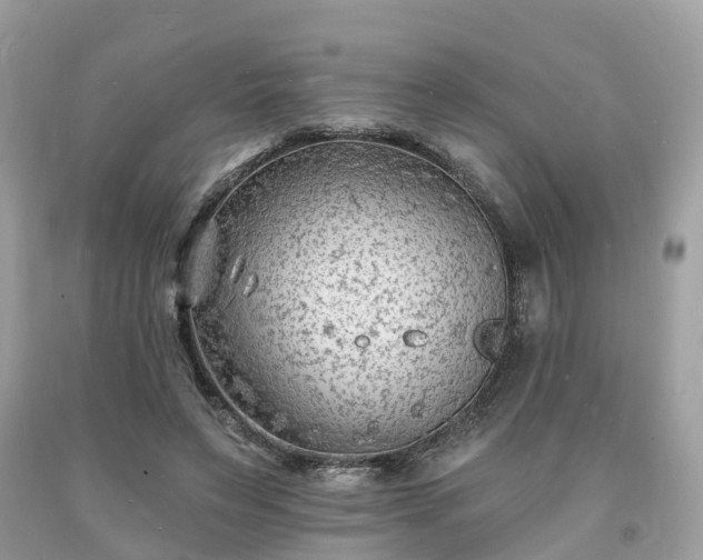 X0000093720495200710231135