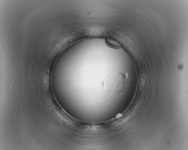 X0000093720497200710231135