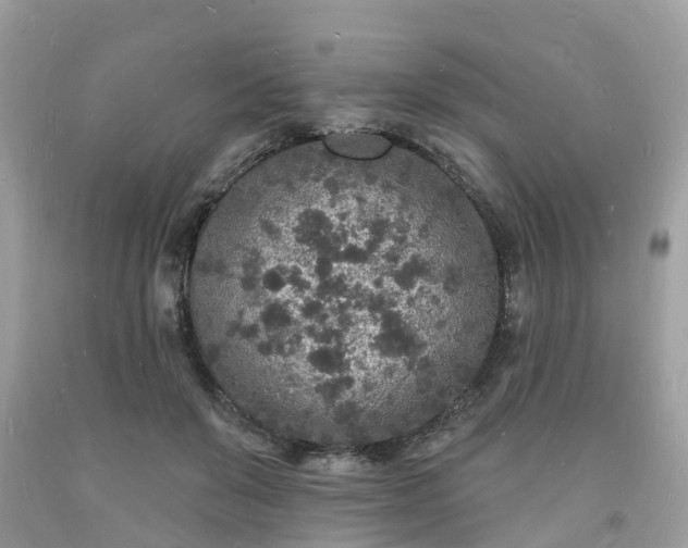 X0000093720503200710231134