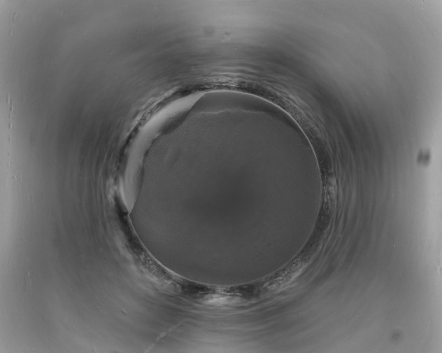 X0000093720504200710231134