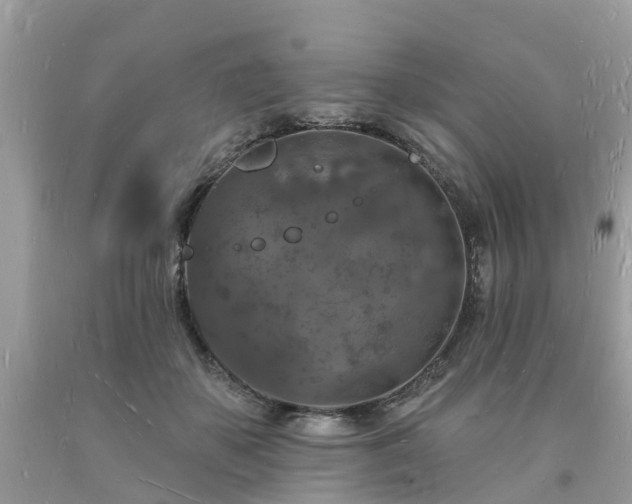 X0000093720507200710231134