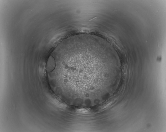 X0000093720511200710231134